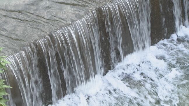 大分川支流で有害性指摘のPFASが指針値最大6倍超え 市が除去対策を開始|TBS NEWS DIG