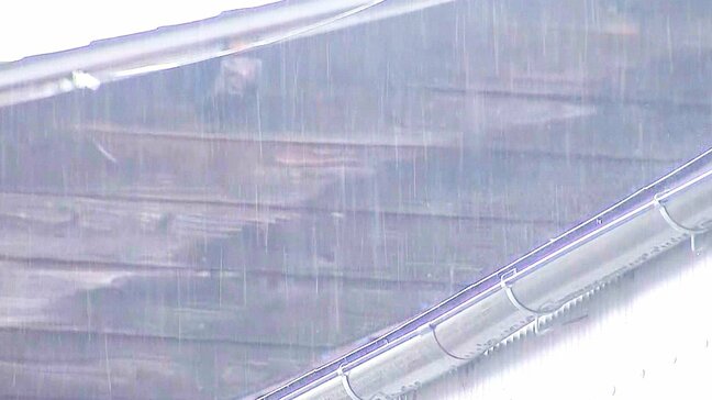 湿った空気の流れ込みで久しぶりのまとまった雨　1ミリ以上の観測は１か月ぶり　大分　|TBS NEWS DIG