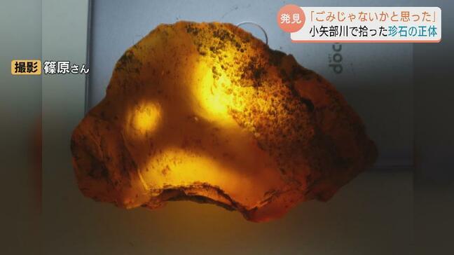 『ごみじゃないか』と思った…光が当たると神秘の輝き!河原で採れた謎の石 火山活動で形成された地形に理由が? 富山・南砺市|TBS NEWS DIG