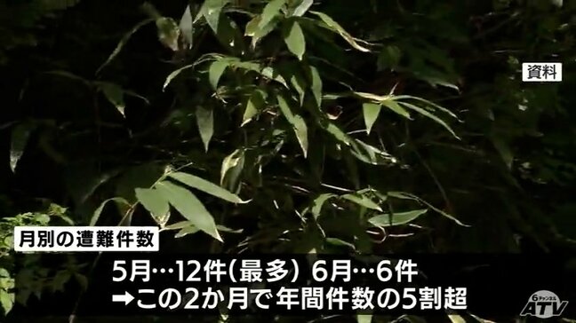 2024年の青森県の山岳遭難発生件数は３２件　５月・６月で５割超　死者・行方不明は２人|TBS NEWS DIG