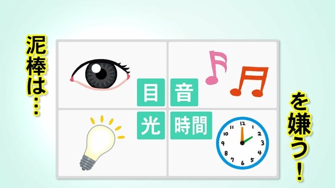 全国で相次ぐ強盗事件…警察がポイント解説 住宅侵入被害をどう食い止める？　|　石川県のニュース｜MRO北陸放送