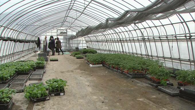 「種まいてから2か月…それが悔しくて…」被害農家から怒りの声　ビニールハウスからナスの苗・約240本が消える　警察が窃盗事件として捜査「安いから持っていっていいやとは思ってほしくない」　|　青森のニュース│ATV NEWS│青森テレビ