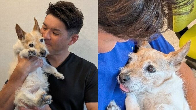 【 照英 】愛犬テン、旅立つ「20歳10日の生涯でした」と報告　「家族全員はテンと出会えて20年ずっと幸せでした」|TBS NEWS DIG