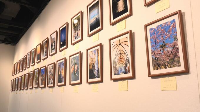  交通事故で親を亡くした子を支援する写真展　小1で父親亡くした遺児も会場に|TBS NEWS DIG