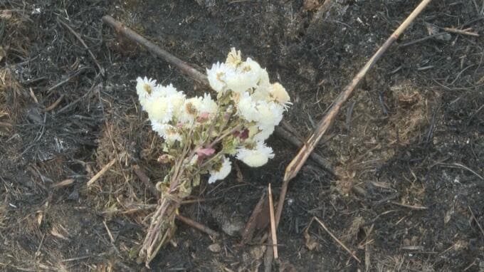 「熱かったね、ごめんな」成人式目前…車炎上4人死亡事故で命落とした消防士(20)　同僚語る無念　福島　|　福島のニュース│TUF