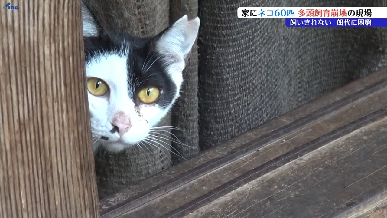 img_7e34d42129c5ffae5264f023cd