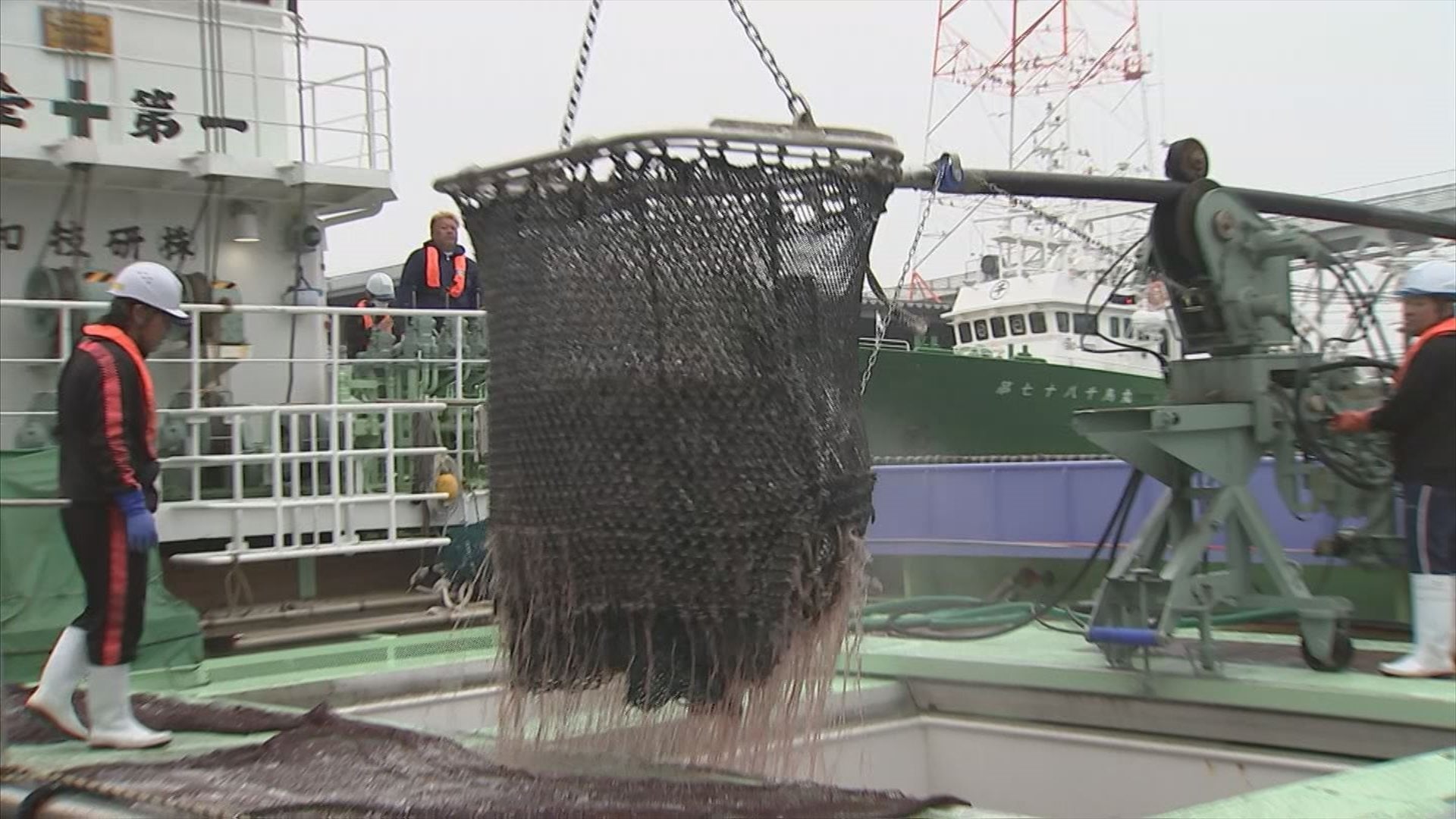 時期外れなのに サバが豊漁 研究員も理由分からず Tbs News Dig 1ページ