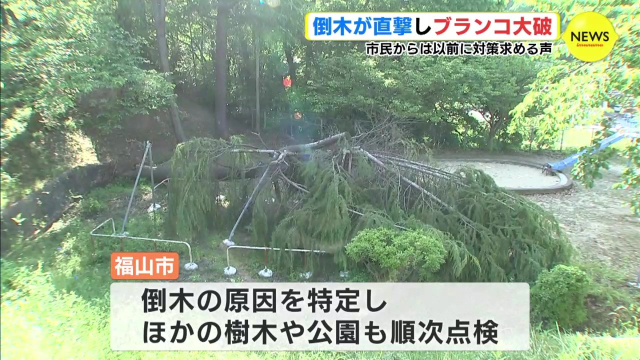 樹木医「天気が1つの要因」 倒木が直撃し 公園のブランコ大破 以前
