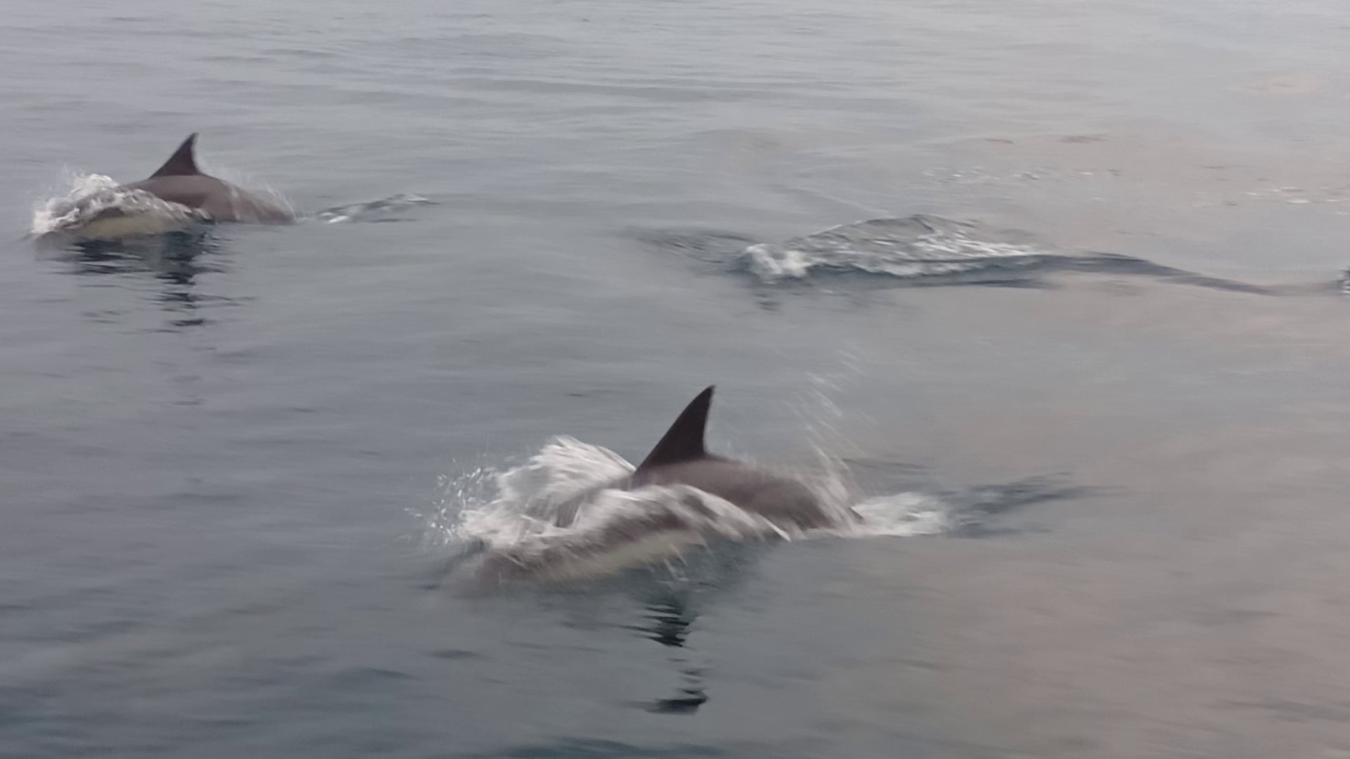 img_7ec761bfedab3fb6a6419be7ca