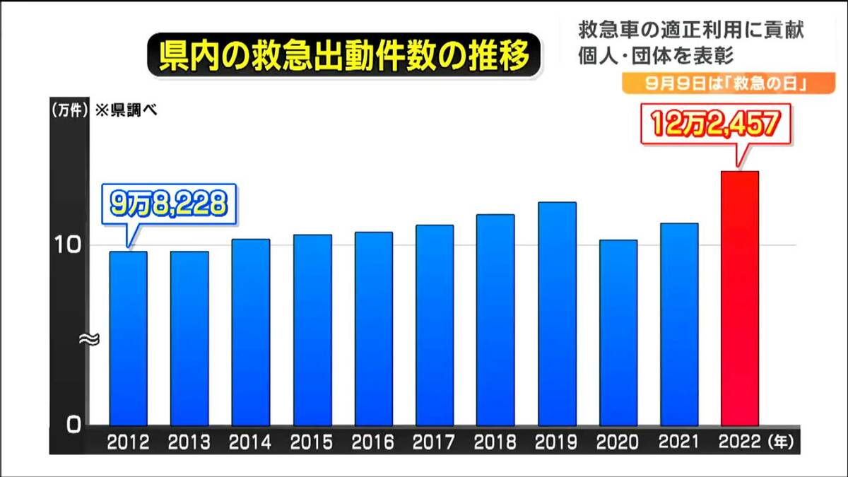 小児救急評価・認識・病態安定化 2015年版 PEARS（小児救急 評価・認識・病態安定化）デジタルポケット