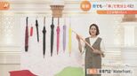 3連休にまた“台風直撃”…行楽地の天気は? 雨の日は…気分上々の「傘」で!|TBS NEWS DIG