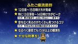 この週末が見ごろ「ふたご座流星群」 一番のピークは13日(金)の深夜から14日(土)の明け方 観測のコツは | MRTニュース | MRT宮崎放送