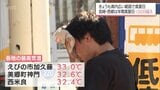 えびの市で33℃など 宮崎県内各地で真夏日 宮崎市:西都市は年間の真夏日が初の100日超え | MRTニュース | MRT宮崎放送