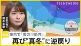 金曜日は東京で「雪の可能性」再び“真冬”に逆戻り…3連休は寒さ続く【news23】|TBS NEWS DIG