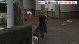 熊本で記録的大雨 住民らは浸水被害の片付けに追われる いまだ安否不明者も|TBS NEWS DIG