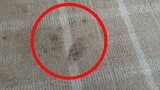 【速報】「クマが走って外から突撃してきた」 クマが公営住宅の窓を割って室内に侵入 掃除機を構えた住人に驚いて玄関から逃げる 住人にけがなし 北海道三笠市|TBS NEWS DIG