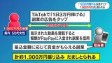 鹿児島県警が詐欺手口を公表　TikTok広告から1900万円被害　「副業収入」にご注意！|TBS NEWS DIG