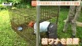 「早くかかれば」クマ捕獲へ 食害に遭ったさくらんぼ畑に箱ワナ設置 別の木でも被害…同じクマによるものか 連日県内でクマの目撃相次ぐ(山形) | 山形のニュース│TUYテレビユー山形