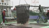 時期外れなのに…サバが豊漁 研究員も理由分からず|TBS NEWS DIG