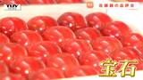 美しい赤!美しい箱詰め! さくらんぼの主力品種”佐藤錦”の品評会 「見るからに宝石」(山形) | 山形のニュース│TUYテレビユー山形