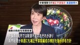 今年度補正予算案編成へ　高市総理が来週にも検討指示　ガソリンや電気・ガス料金への補助などもおこなう方針　中東情勢によるエネルギー価格の上昇を受け|TBS NEWS DIG