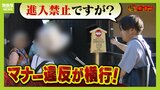 【祇園のマナー違反】罰金１万円『私道に進入禁止』の看板...それでも立ち入る外国人観光客の姿　さらにツアーガイドまで「看板見ていなかった」「写真がダメだと...通るのが悪いとは思わなかった」|TBS NEWS DIG