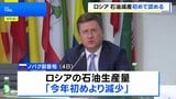 ロシア副首相 石油生産量減少を認める「製油所が予定外のメンテナンス実施のため」 ウクライナの攻撃の影響か|TBS NEWS DIG