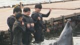 高校生がイルカとふれあい体験 自然や生き物の大切さ学んで 愛媛・伯方島 | 愛媛のニュース - Nスタえひめ|あいテレビは6チャンネル