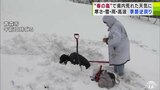 「暑さ寒さも彼岸まで」しかし… 春彼岸の入りは“真冬並み”の気温に 青森市では雪から墓を掘り出して故人をしのぶ | 青森のニュース│ATV NEWS│青森テレビ