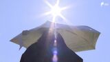 静岡市中心部で39.3℃ 観測史上一番の暑さに 全国での今シーズンの最高気温も更新【速報】 | 静岡のニュース | SBSNEWS | 静岡放送