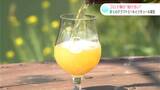 幻のかんきつ「直七」を使ったクラフトビールとリキュール誕生 老舗料理店から全国へ | 高知のニュース・天気|KUTV NEWS | KUTVテレビ高知