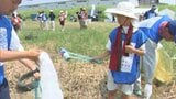 「海ごみを減らせ」瀬戸内海沿岸の4県で一斉に清掃活動 各県知事も参加 “瀬戸内オーシャンズX“ の一環で【岡山】|TBS NEWS DIG
