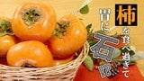 柿を食べ過ぎて緊急手術...!? 柿胃石症ってご存知ですか|TBS NEWS DIG