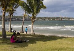 米政府、キューバとの経済合意を近く発表する可能性－USAトゥデー紙| TBS CROSS DIG with Bloomberg