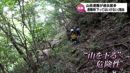 山岳遭難が過去最多　遭難したとき「山を下ってはいけない」理由とは|TBS NEWS DIG