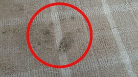 【速報】「クマが走って外から突撃してきた」 クマが公営住宅の窓を割って室内に侵入 掃除機を構えた住人に驚いて玄関から逃げる 住人にけがなし 北海道三笠市|TBS NEWS DIG