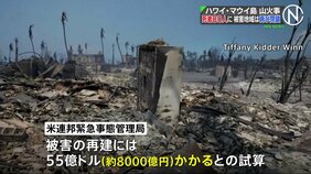 ハワイ・マウイ島の山火事 死者80人に、被害地域は再び閉鎖 再建には約8000億円と試算|TBS NEWS DIG