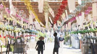【映像】守り続けたい美しい風景…福島の春夏秋冬　TUFカメラマン撮影、珠玉の映像集【四季カメラ2023総集編①】　|　福島のニュース│TUF