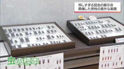 主催者は自衛隊員 転勤で標本集めに拍車 400種類1500匹の虫の標本を