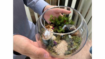 クリスタルの森（テラリウム） 4億8000万年を生きぬくコケの魅力『苔テラリウム』が大人の趣味とし