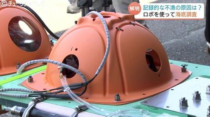 シロエビ・ベニズワイガニ不漁の原因を徹底究明 富山湾で海底ロボット