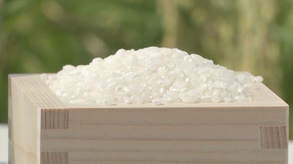 備蓄米放出の効果はどこへ…”令和のコメ騒動”いまだに続く　高市内閣の秘策「おこめ券」に街の声は　富山　|　富山のニュース｜天気・防災｜チューリップテレビ