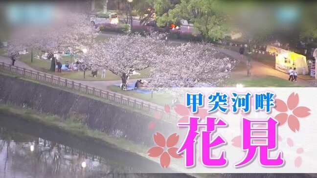 【甲突川の花見】春だ！花見だ！バーベキューだ！【あすから甲突川河畔 でＢＢＱ可能に】開花状況、花見エリア、屋台・キッチンカーの場所は　鹿児島|TBS NEWS DIG