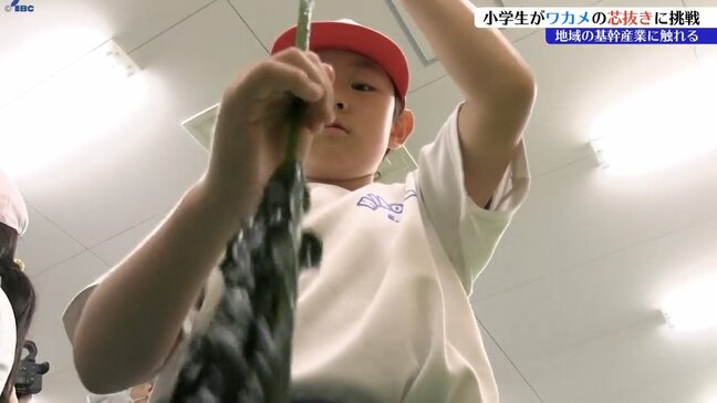 地域の基幹産業に触れて理解を深めてもらうため　岩手県広田小の児童がワカメの芯抜き体験|TBS NEWS DIG