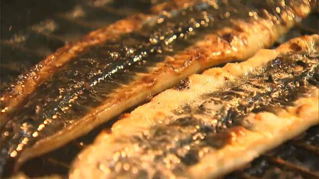 「19日は土用の丑の日」今年のできは?1953年創業の国産ウナギ専門店と大型商業施設に聞く【岡山】|TBS NEWS DIG