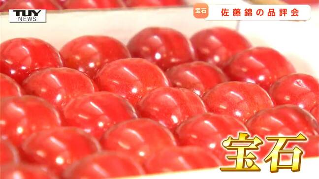 美しい赤！美しい箱詰め！ さくらんぼの主力品種”佐藤錦”の品評会　「見るからに宝石」（山形）|TBS NEWS DIG