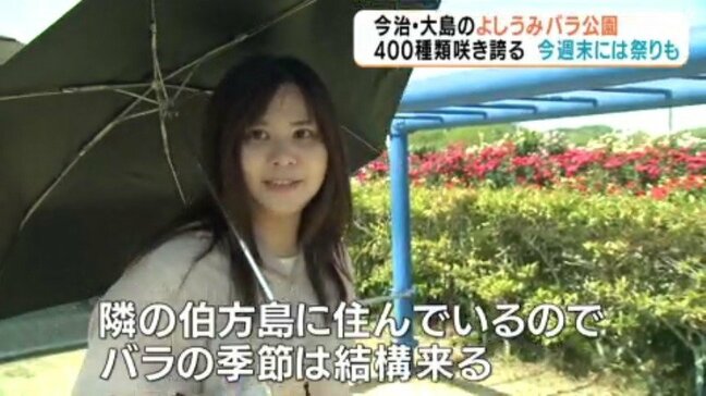 四国最大級「よしうみバラ公園」約４００種類咲き誇る 週末には祭りも【愛媛・今治】|TBS NEWS DIG