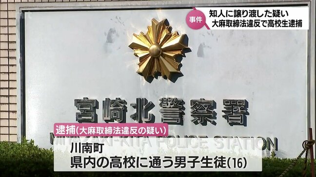 大麻を譲り渡した疑いで川南町の高校生(16)を逮捕　大麻所持容疑で逮捕された高校生の取り調べから発覚|TBS NEWS DIG