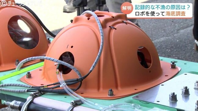 シロエビ・ベニズワイガニ不漁の原因を徹底究明　富山湾で海底ロボットを使った初の調査　DNAを採取し生態など調べる　|TBS NEWS DIG