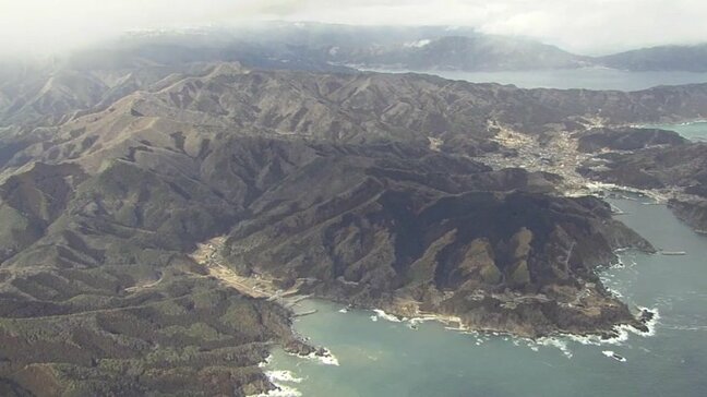 大規模山林火災で被害を受けた森林について、大船渡市が議会で再生計画案を公表　岩手|TBS NEWS DIG
